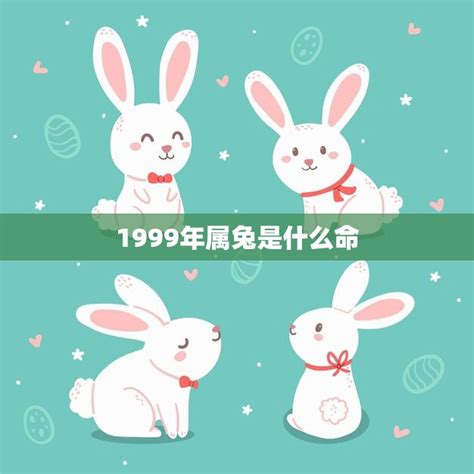 1999属兔|1999年属兔是什么命 1999年属兔人一生命运